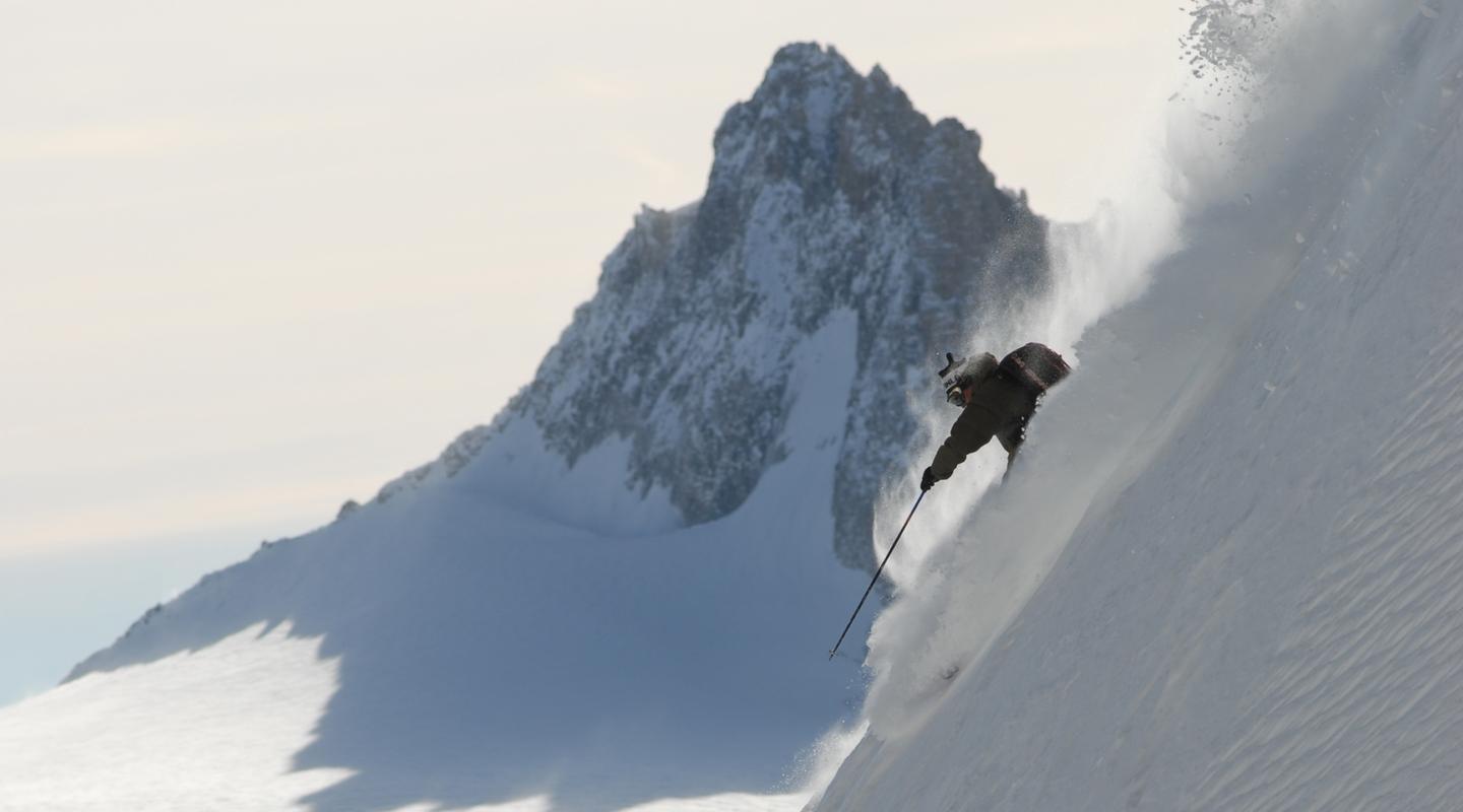 브랜드 무드 이미지